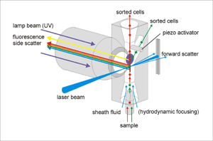 Partec Flow Cytometry